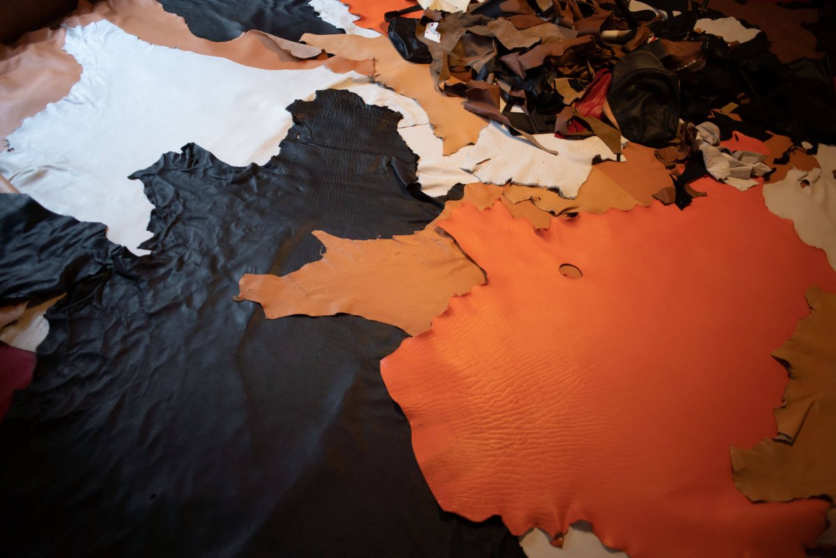 触覚/鹿との繋がりを感じる3