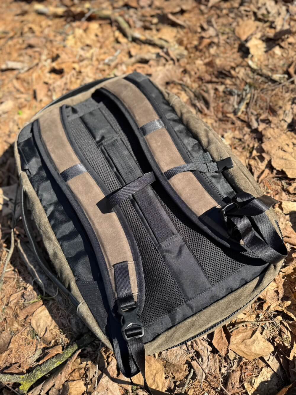 Backpack with padded straps lying on dried leaves outdoors in a natural setting.
